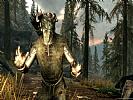 The Elder Scrolls 5: Skyrim - screenshot #48