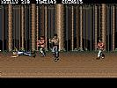 Double Dragon III: The Sacred Stones - screenshot #24