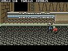 Double Dragon III: The Sacred Stones - screenshot #6