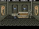 Double Dragon III: The Sacred Stones - screenshot #5