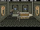 Double Dragon III: The Sacred Stones - screenshot #4