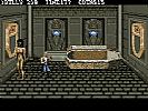 Double Dragon III: The Sacred Stones - screenshot #3