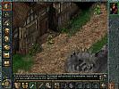 Baldur's Gate - screenshot #35