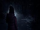 Until Dawn - screenshot #3