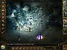 Icewind Dale: Heart of Winter - screenshot #5