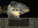 Icewind Dale 2 - screenshot #79