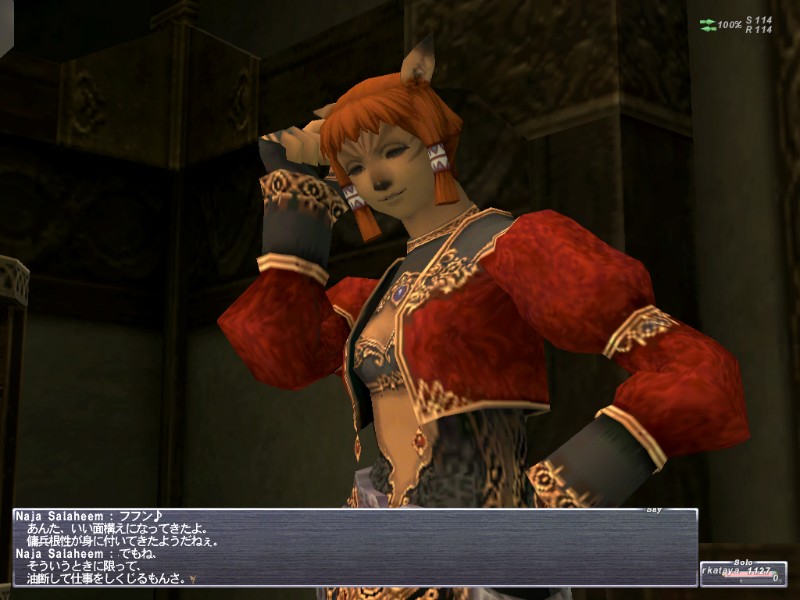 Final Fantasy XI: Treasures Of Aht Urhgan - screenshot 28