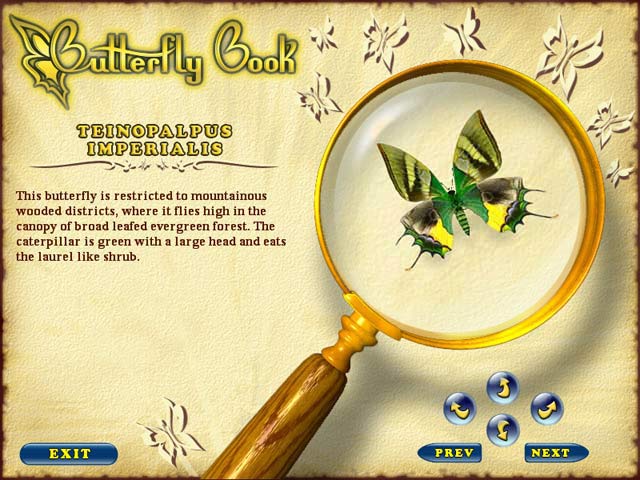 Butterfly Escape - screenshot 3