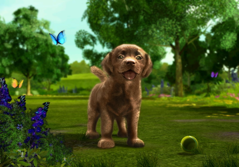 Petz Sports: Dog Playground - screenshot 2