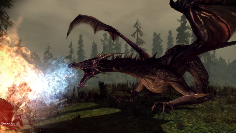 Dragon Age: Origins - screenshot 65