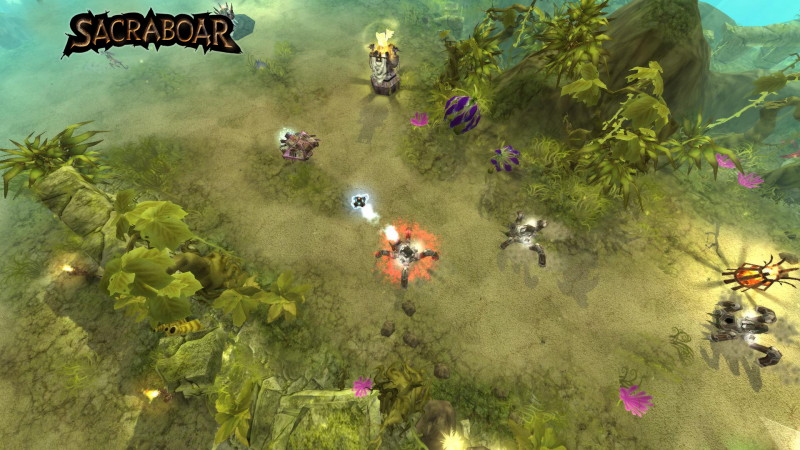 Sacraboar - screenshot 6