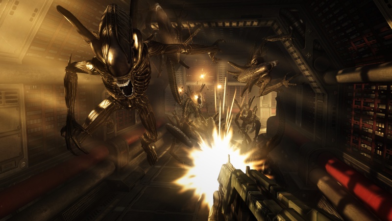 Aliens vs Predator - screenshot 21