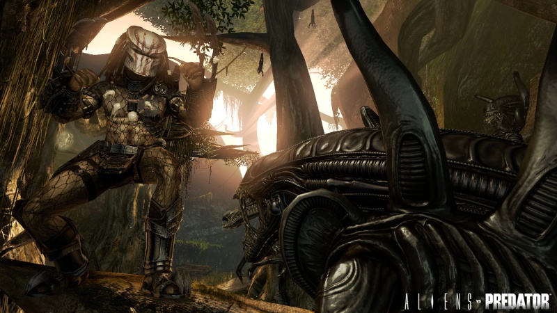 Aliens vs Predator - screenshot 15