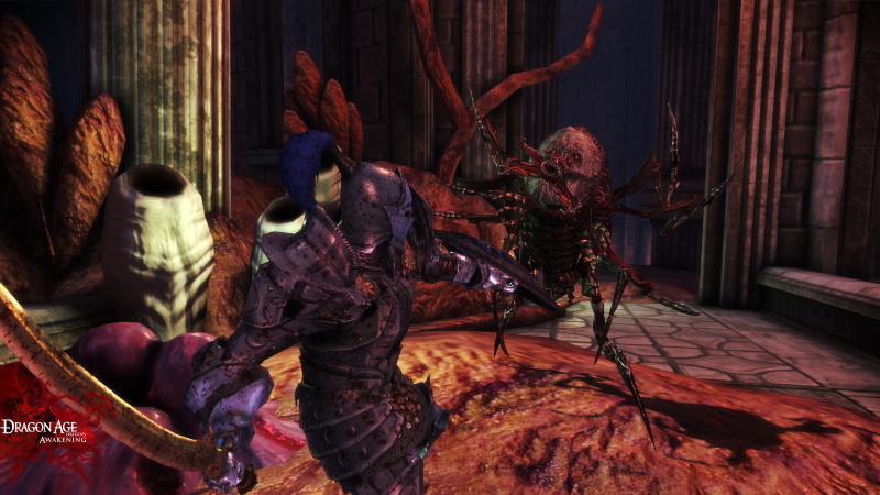 Dragon Age: Origins - Awakening - screenshot 12