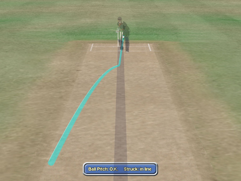 International Cricket Captain 2010 - screenshot 18