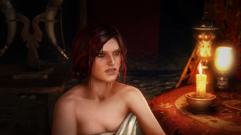 The Witcher 2: Assassins of Kings - screenshot 9