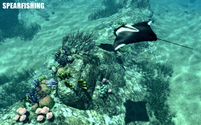 Spearfishing - screenshot 1