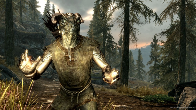 The Elder Scrolls 5: Skyrim - screenshot 48