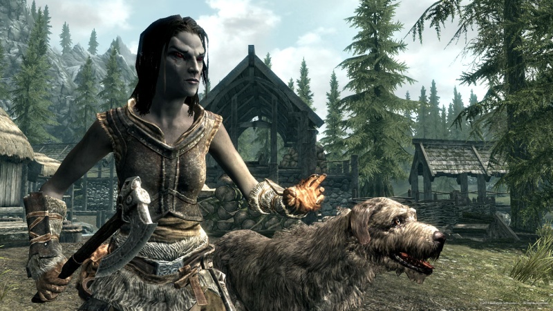 The Elder Scrolls 5: Skyrim - screenshot 46