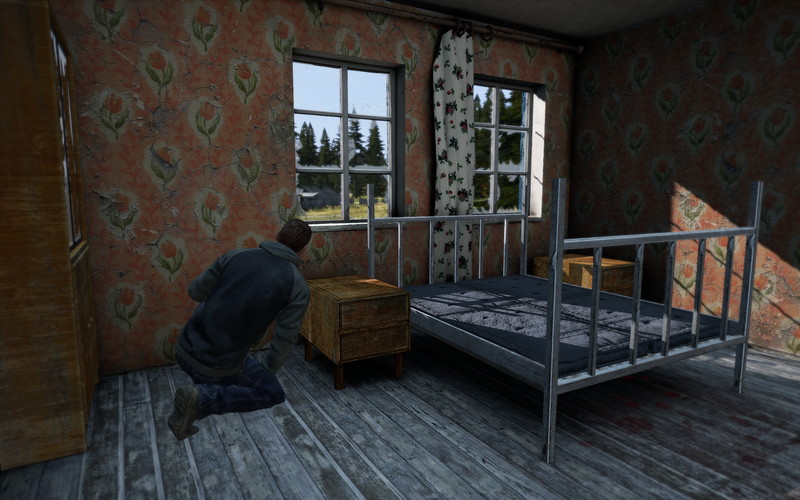 DayZ - screenshot 2