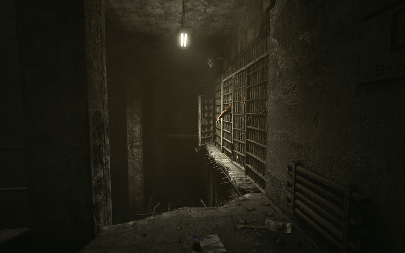 Outlast - screenshot 7