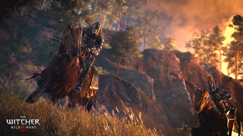 The Witcher 3: Wild Hunt - screenshot 13