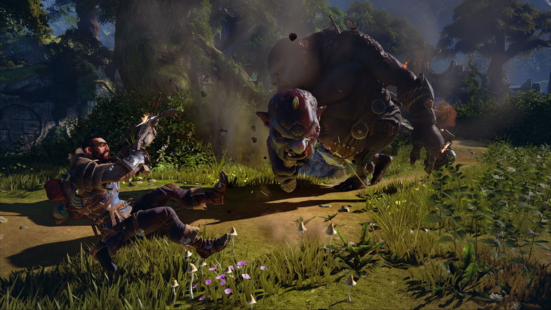 Fable Legends - screenshot 11