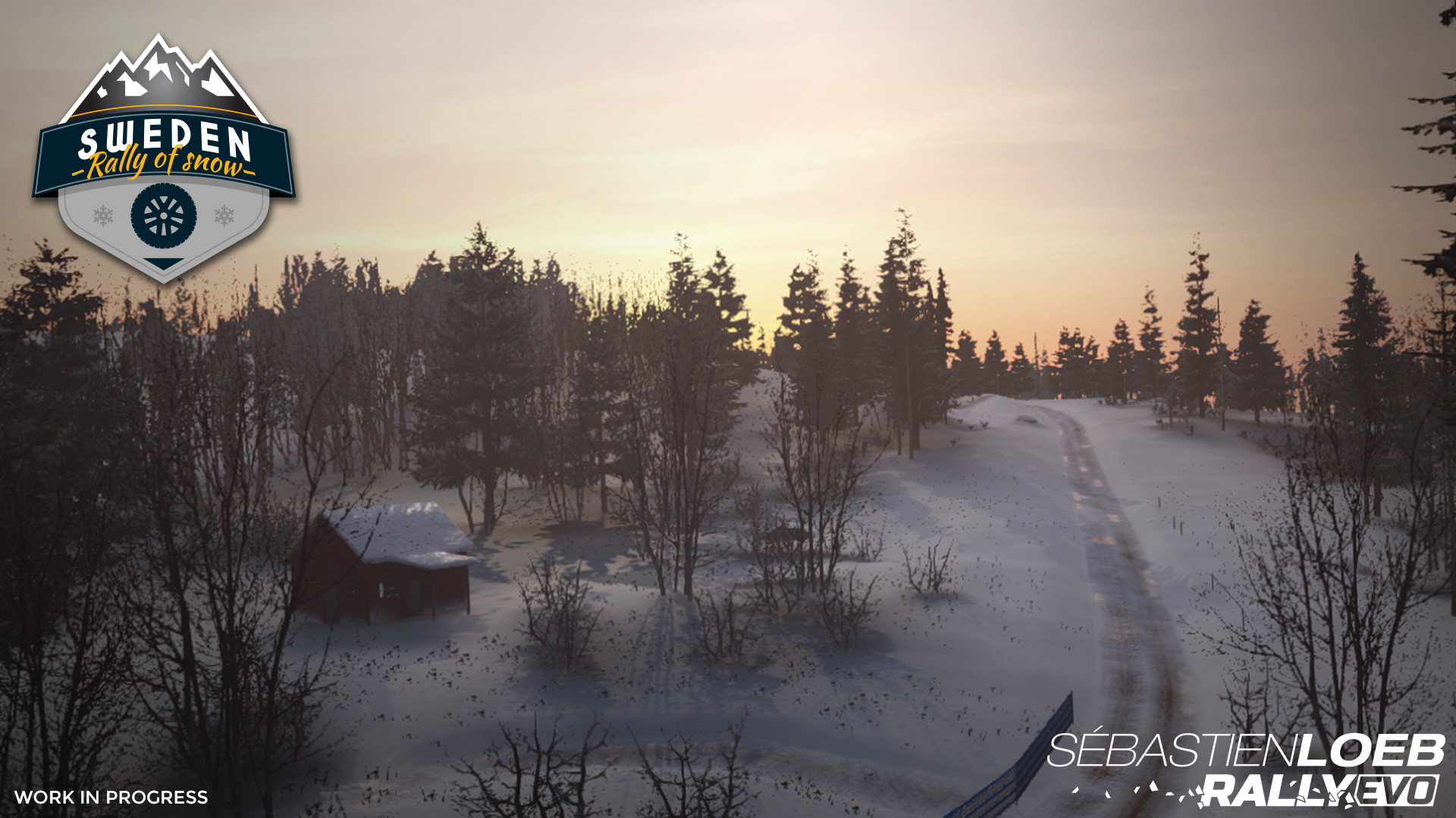 Sebastien Loeb Rally Evo - screenshot 12