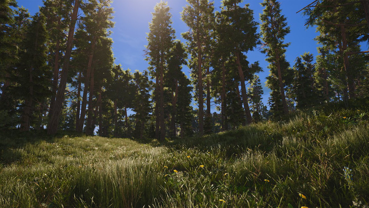 SCUM - screenshot 5