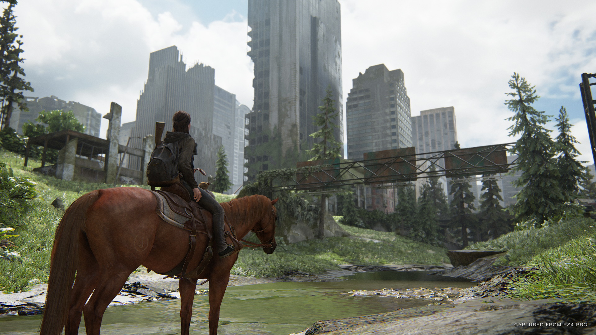 The Last of Us Part II - screenshot 66