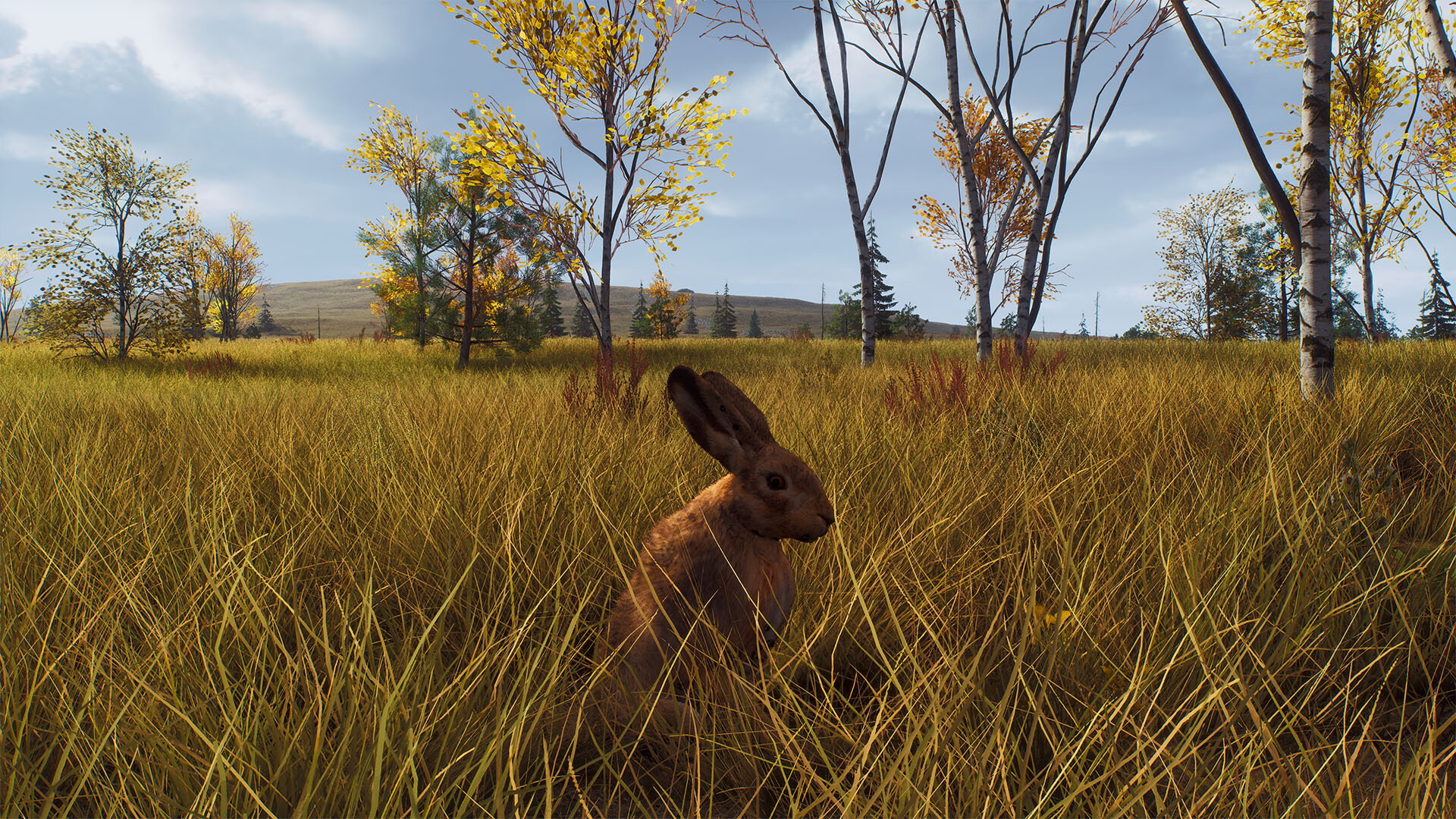 Way of the Hunter: Lintukoto Reserve - screenshot 21