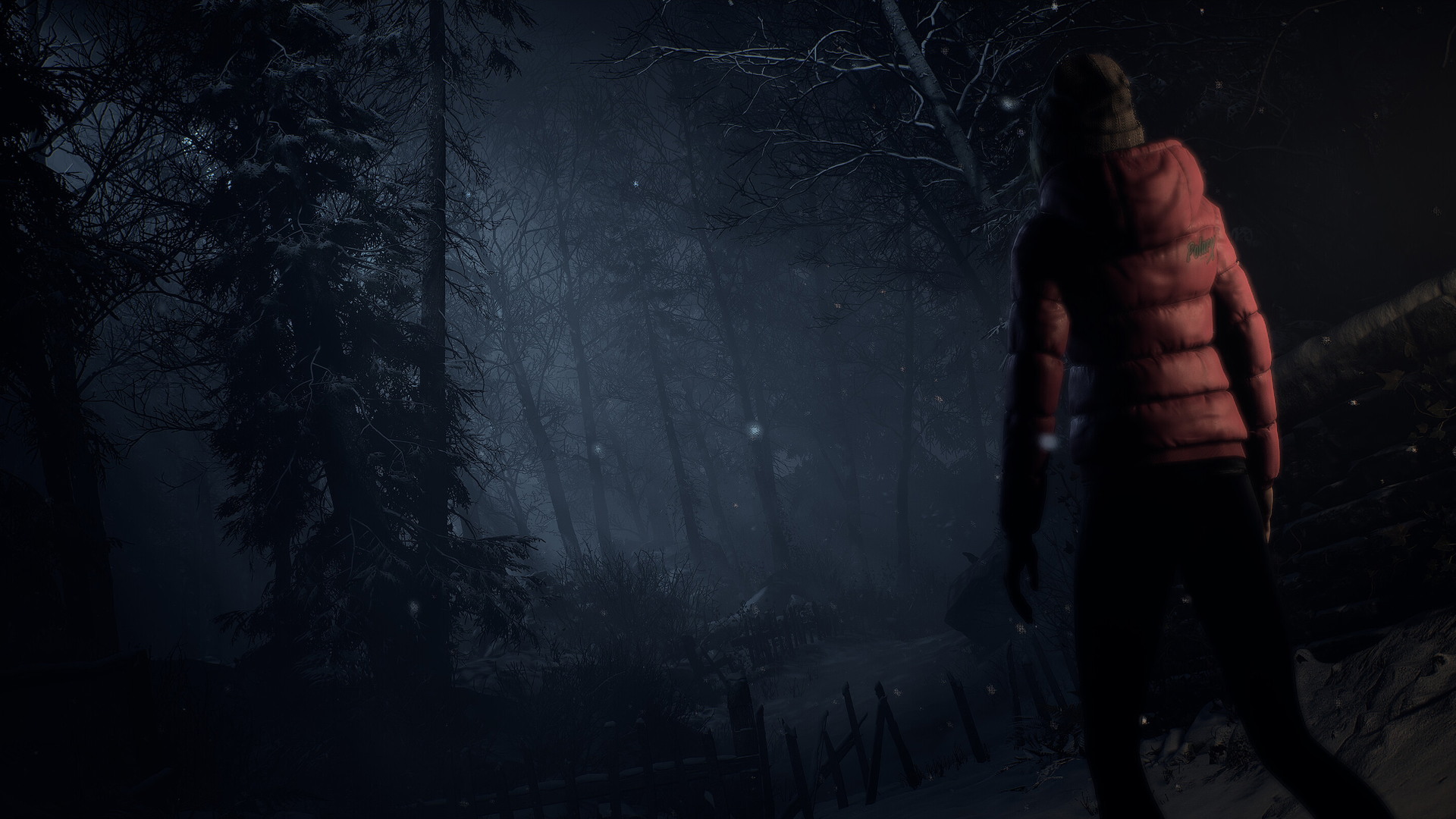 Until Dawn - screenshot 6