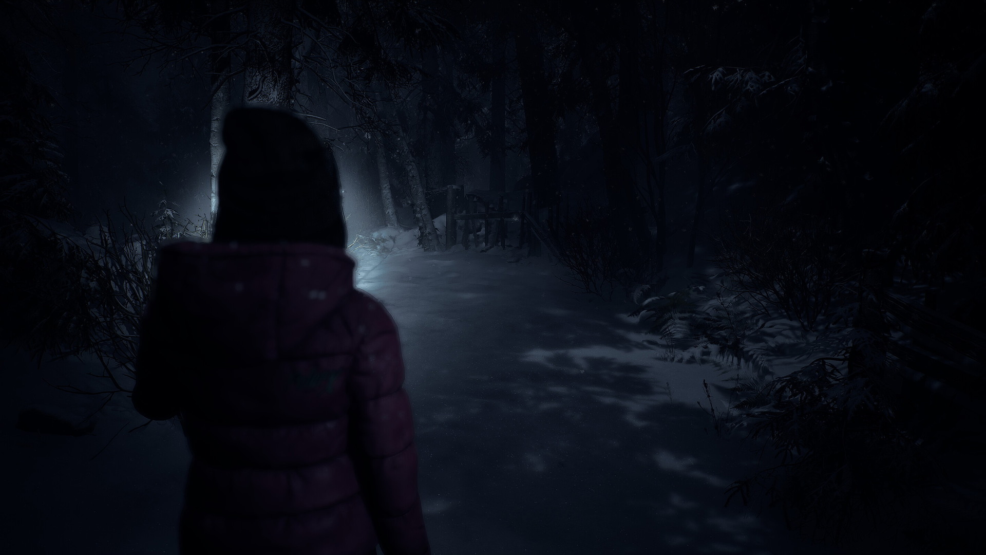 Until Dawn - screenshot 3