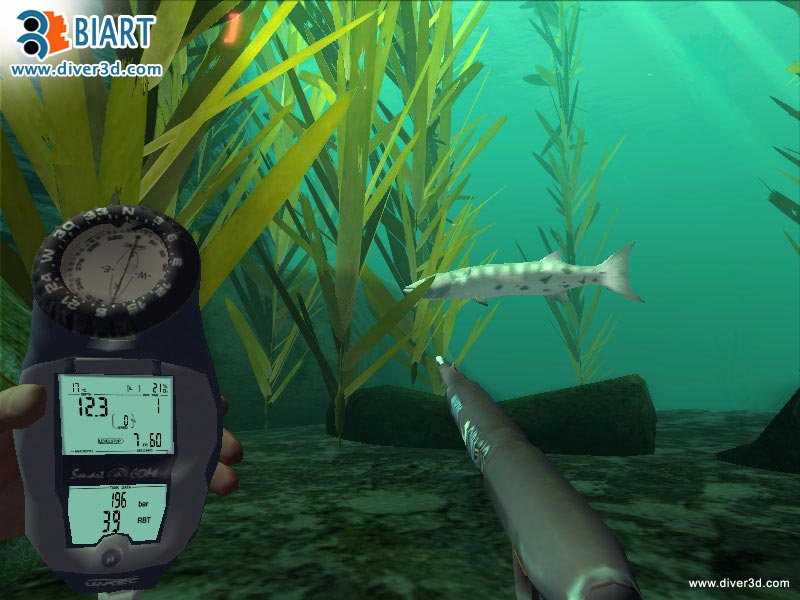 Diver: Deep Water Adventures - screenshot 183