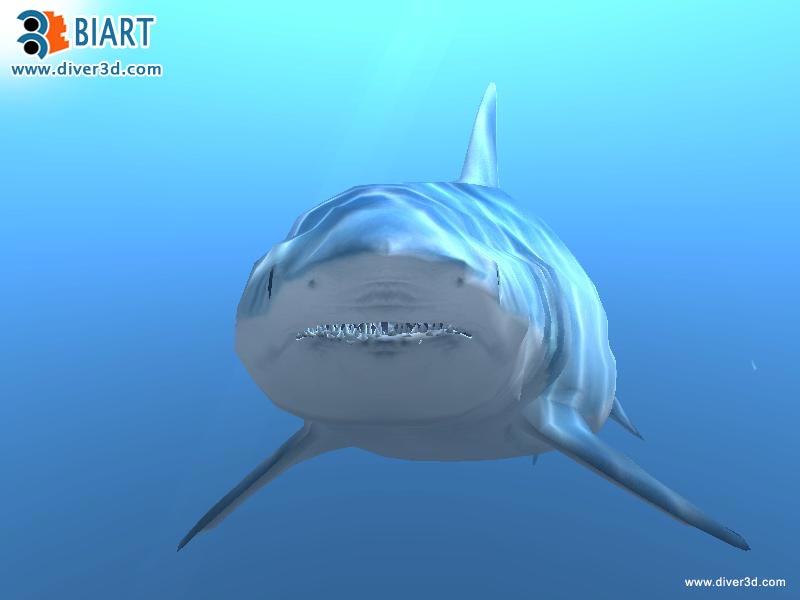 Diver: Deep Water Adventures - screenshot 177