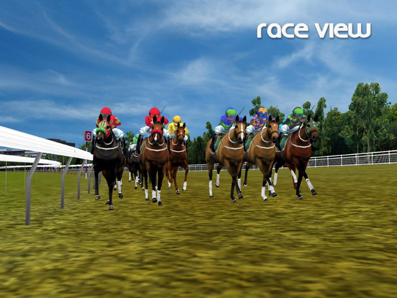 Melbourne Cup Challenge - screenshot 25