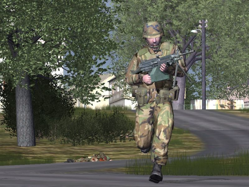 ArmA: Armed Assault - screenshot 61
