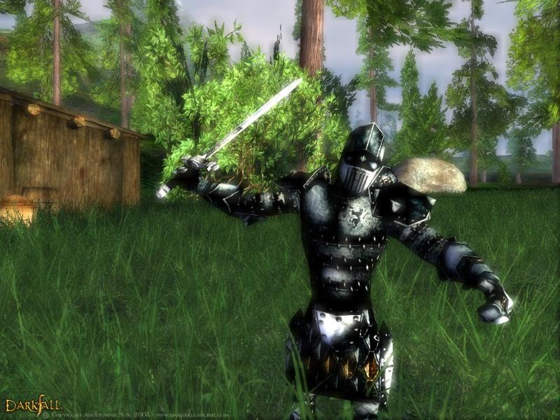 Darkfall Online - screenshot 11