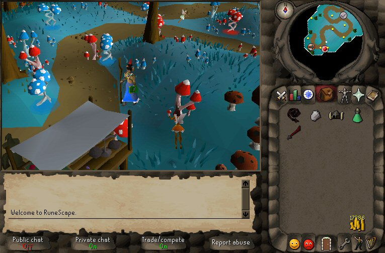 RuneScape - screenshot 1