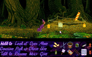 Simon the Sorcerer - screenshot 27