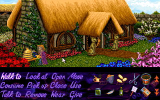 Simon the Sorcerer - screenshot 19