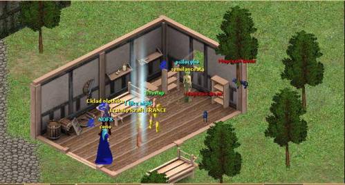 ARENA Online - screenshot 26