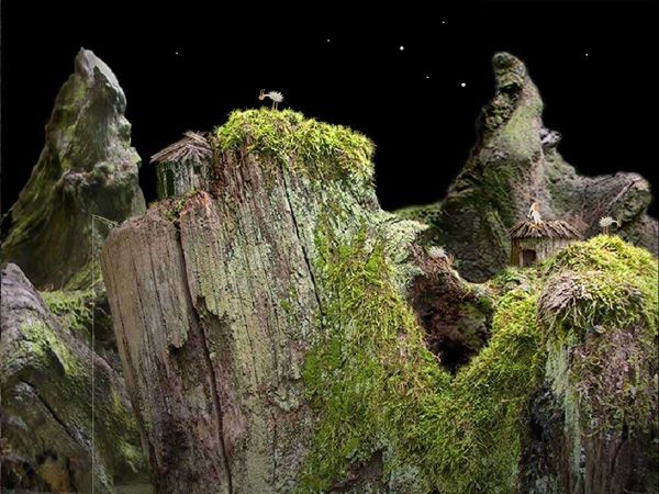 Samorost 1 - screenshot 5