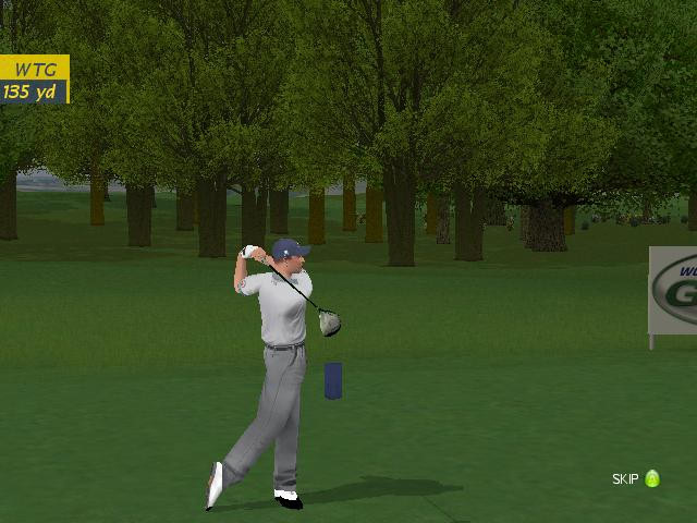 ProStroke Golf: World Tour 2007 - screenshot 35