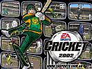 Cricket 2002 - wallpaper #3