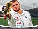 Cricket 07 - wallpaper