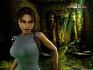 Tomb Raider: Anniversary - wallpaper #3