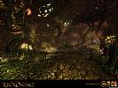 Kingdoms of Amalur: Reckoning - wallpaper #10