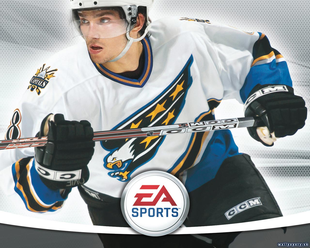 NHL 07 - wallpaper 2