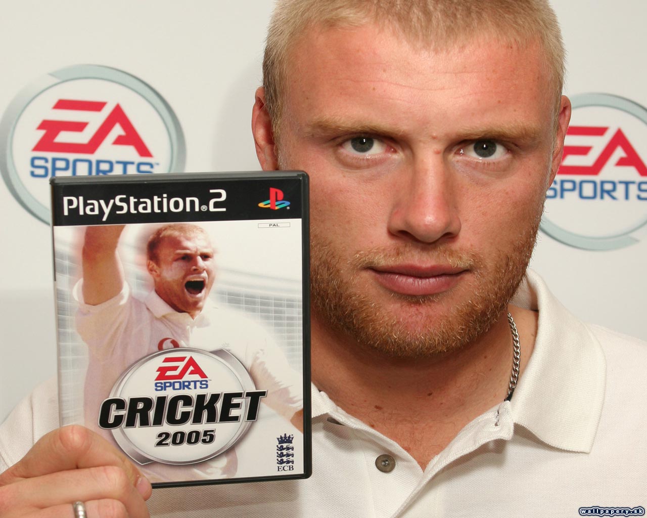 Cricket 2005 - wallpaper 1